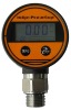 Digital Pressure Gauge