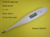 Digital Rigid Tip Thermometer