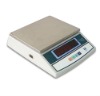 Digital Stainless Steel Weighing Scale