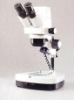Digital Stereo zoom Microscope
