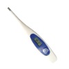 Digital Thermometer