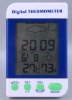 Digital Thermometer