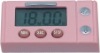 Digital Timer