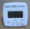 Digital Timer