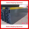 Digital Truck Weigh Bridge