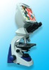 Digital biological microscope SLD-30