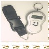 Digital handheld hanging scale ( P236)