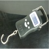 Digital handheld luggage hanging scale ( P241)