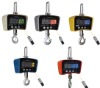 Digital hanging scale