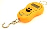 Digital luggage weighing scales