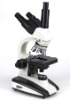 Digital microscope