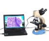 Digital microscope