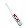 Digital outdoor thermometers