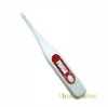 Digital outdoor thermometers