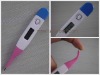 Digital room thermometer