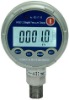 Digital test Gauge( (-1~1) ) HX601D