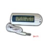 Digital thermometer