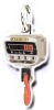 Direct-viewing crane scale