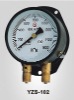 Double Pointer Double Pipe Pressure Gauge