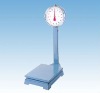 Double dial spring platform scale