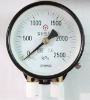 Double pointer pressure gauge