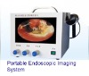 ENT Endoscopic imaging system