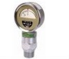 Economy Type Mud Pressure Gauge