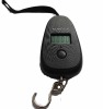 Egg shape promotional scale