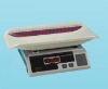 Electronic Baby Scale