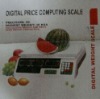 Electronic Computing scale