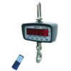 Electronic Crane Scale