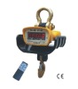 Electronic Crane Scale