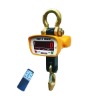 Electronic Crane Scale
