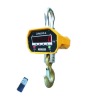 Electronic Crane Scale