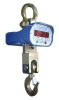 Electronic Crane Scale (Capacity:600kg-50000kg)