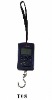 Electronic Hanging Scale