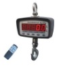 Electronic Hanging Scale