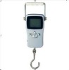 Electronic Hanging Scale