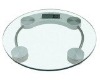 Electronic Health Scale