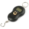 Electronic Luggage scale