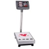 Electronic Platform Scale(YZ-B)