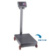 Electronic Platform Scale(YZ-H)