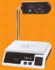 Electronic Price Scale With Pole