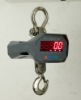 Electronic Scale/look straight crane scales