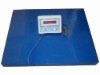 Electronic Stainless Steel Floor Scale