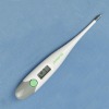 Electronic Thermometer