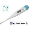 Electronic Waterproof Thermometer(DT-11D)