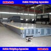 Electronic Weigh Bridge