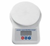 Electronic Weighing Scale