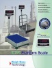 Electronic Weighing Scale